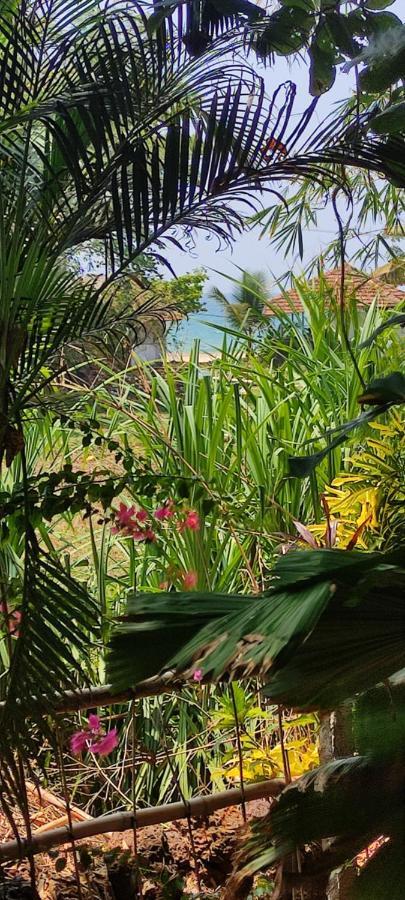 Sandra Eco Varkala Dış mekan fotoğraf