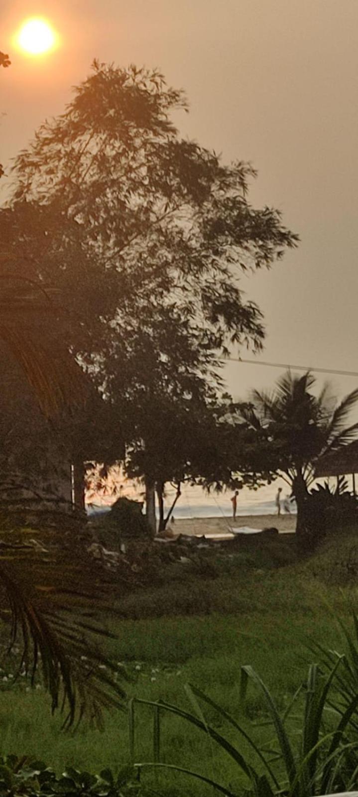 Sandra Eco Varkala Dış mekan fotoğraf